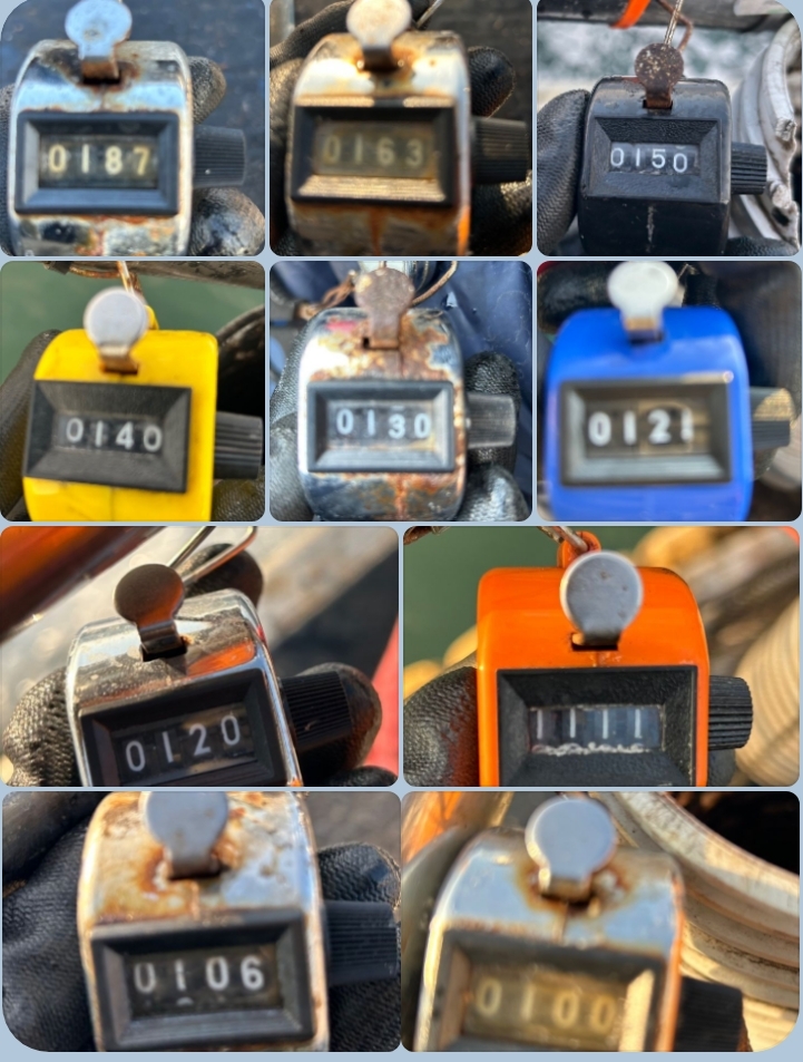 10월 11일 대성호 주꾸미조황입니다