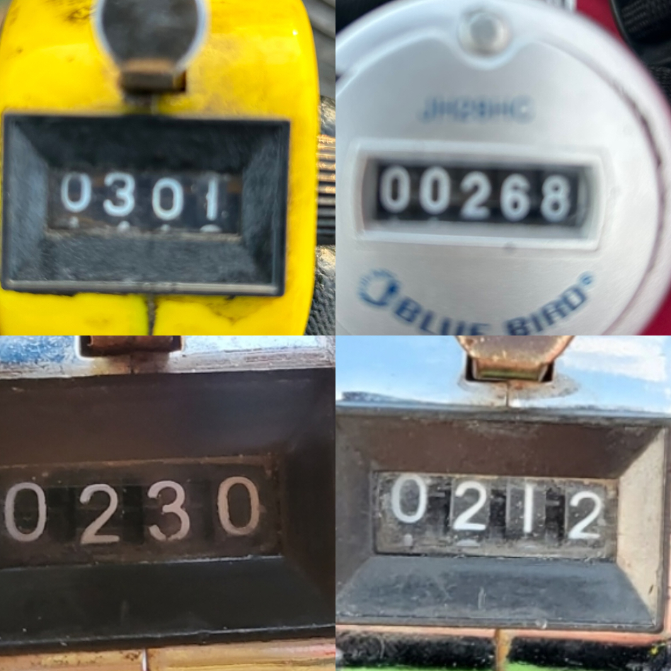 10월 12일 대성호 주꾸미조황입니다