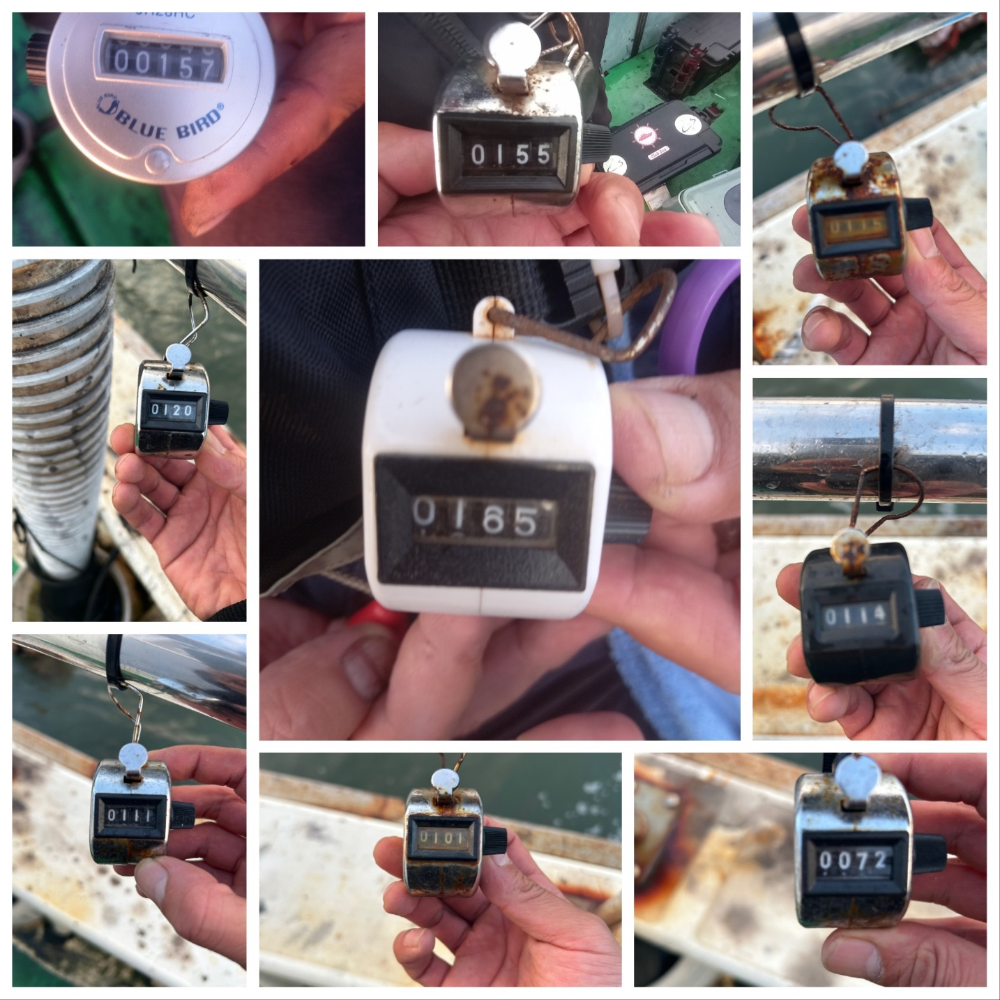 10월22일 뉴궁리호 쭈꾸미 조황