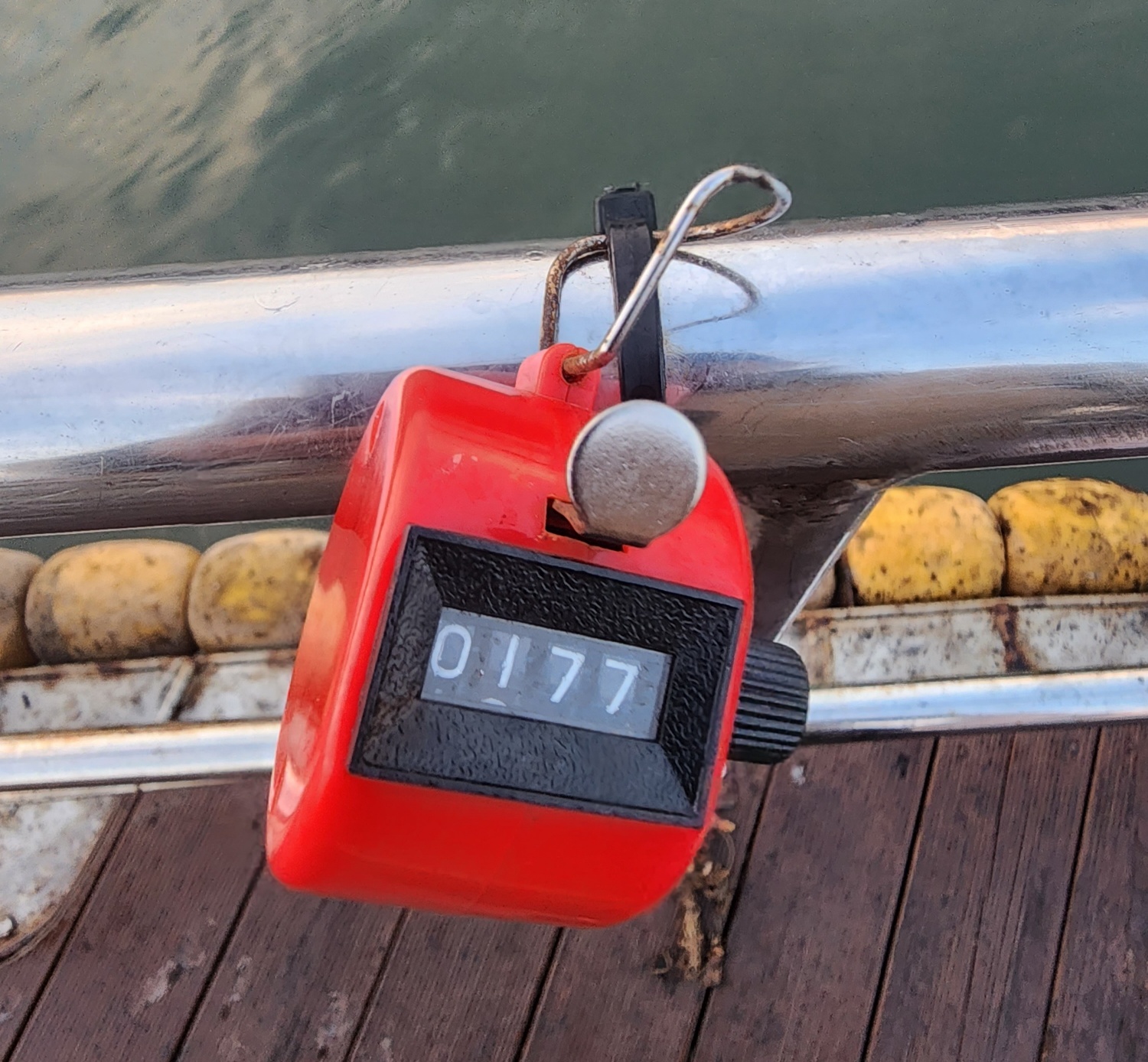 10월 22일 대성2호 쭈꾸미조황