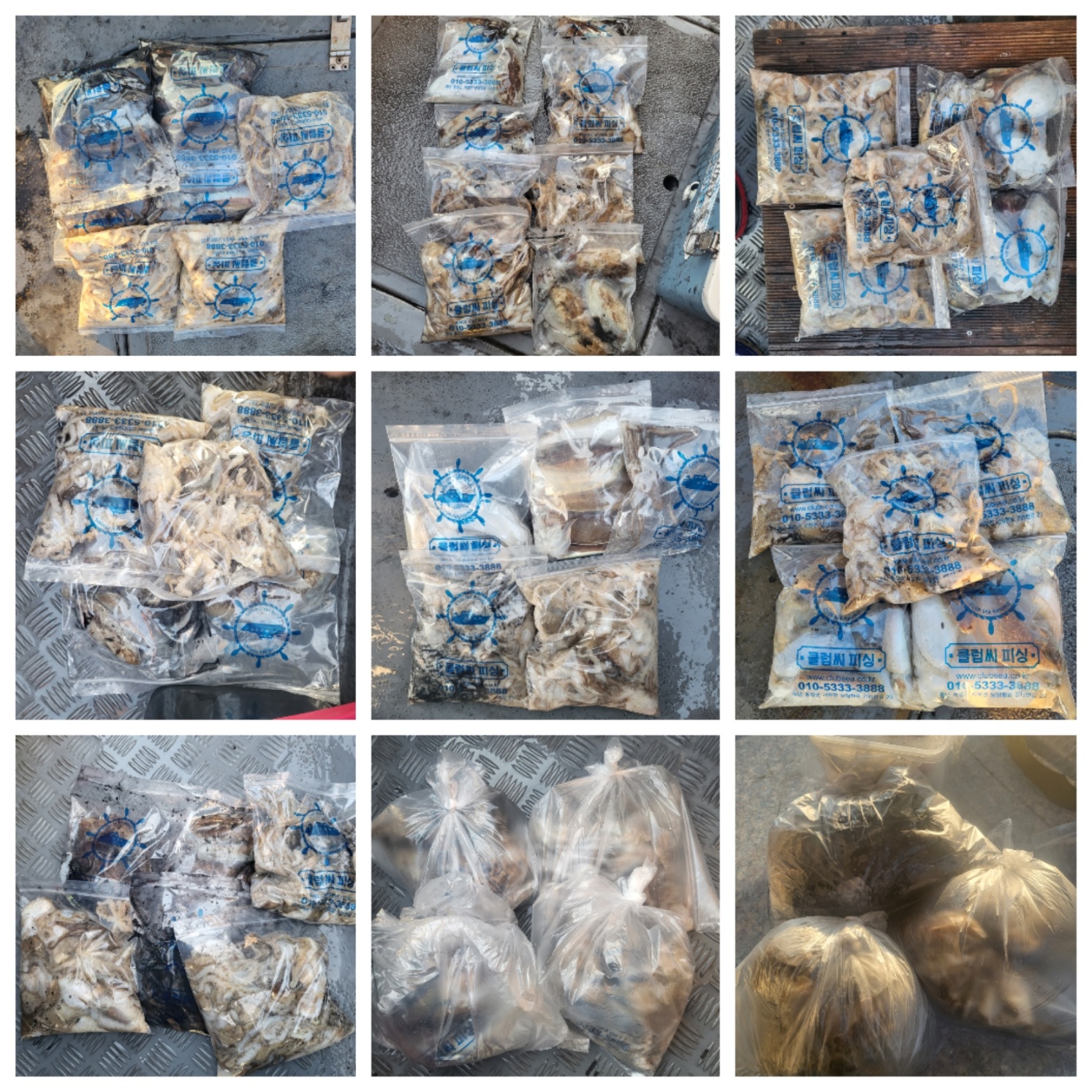 10월25일 마린호 쭈조황입니다