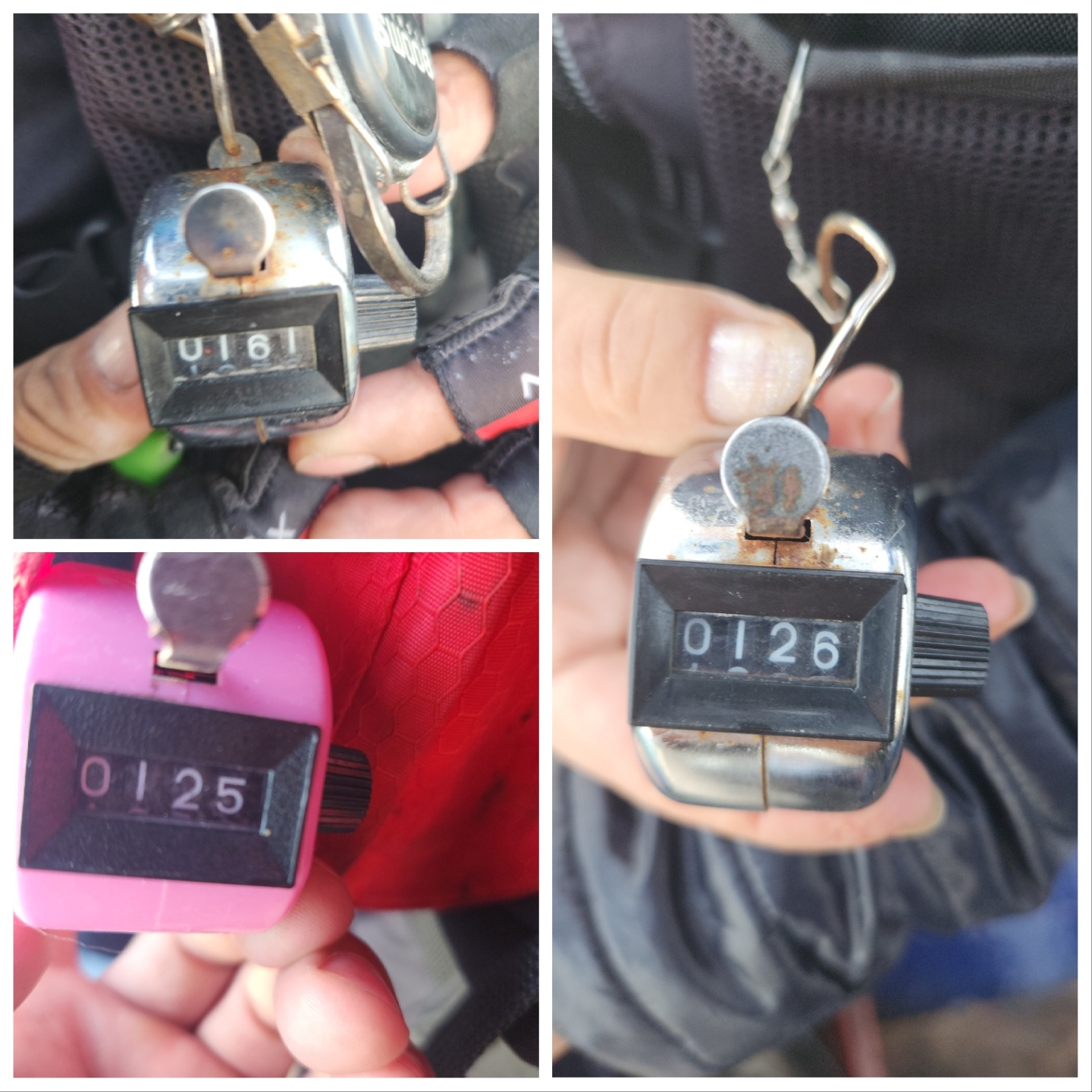 10월17일 블루원 주꾸미 조황