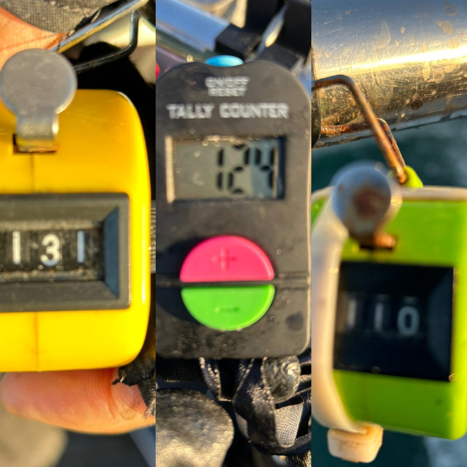 10월 16일 대성호 주꾸미조황입니다