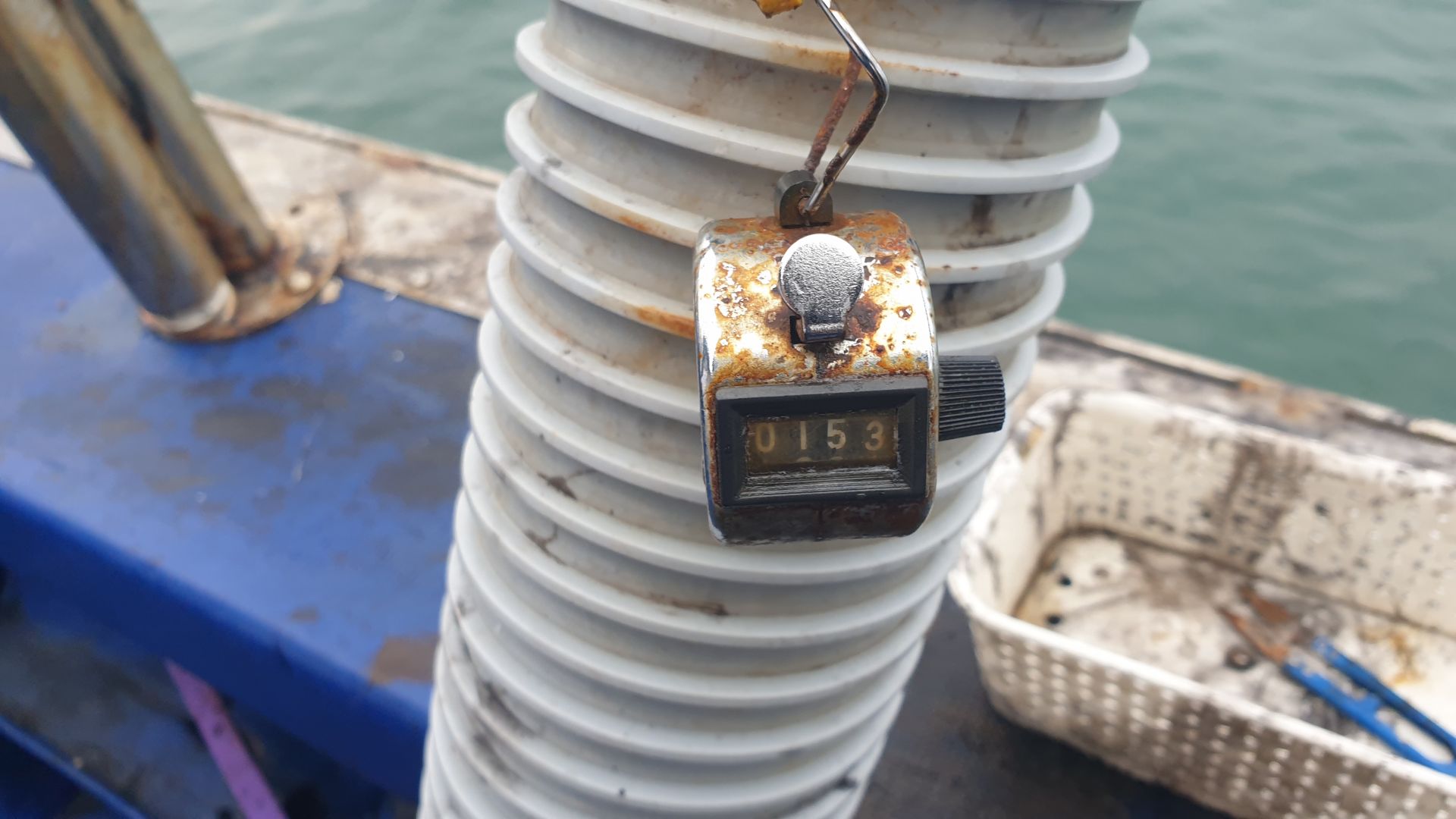 10월13일 대양호 주꾸미 조황