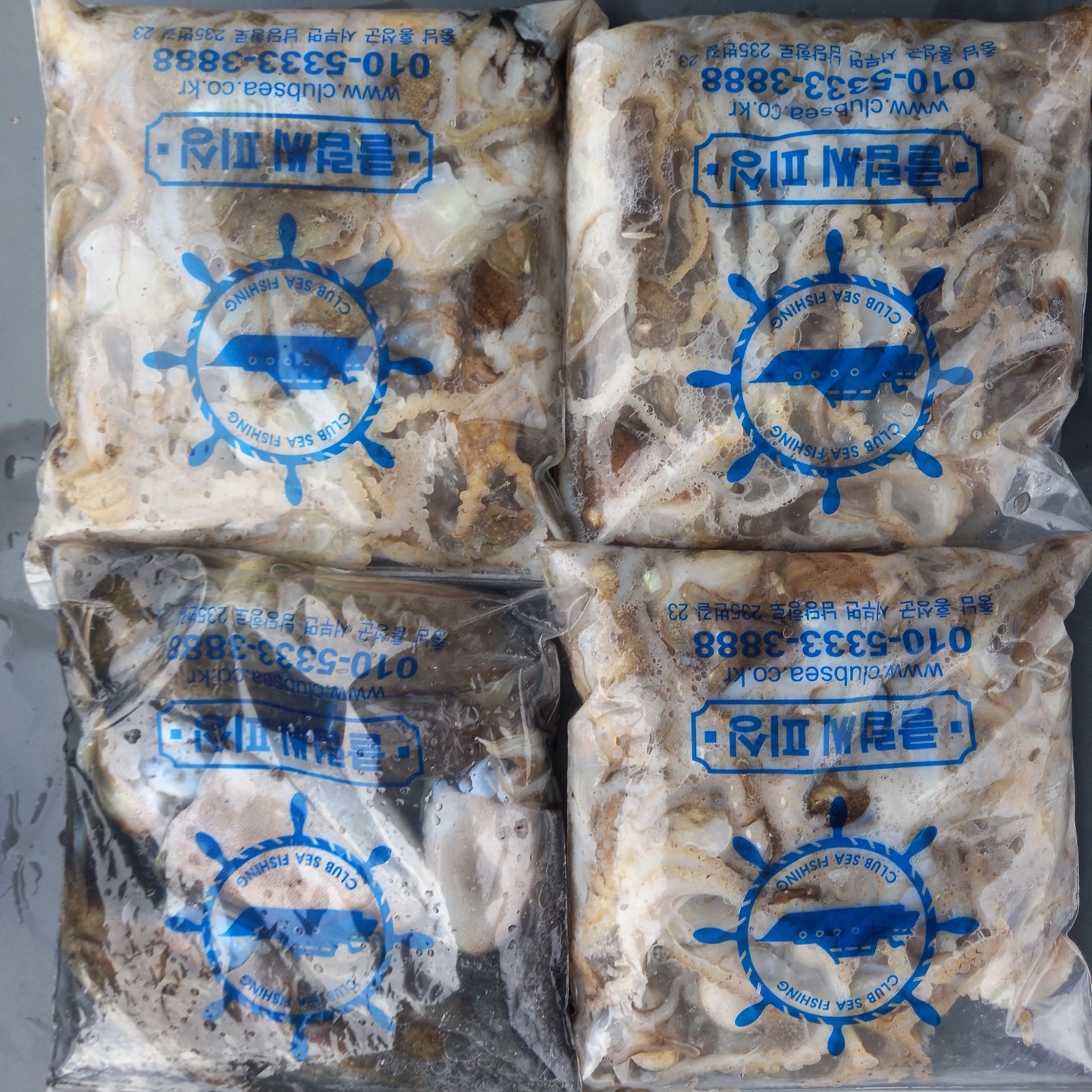 10월8일 뉴궁리호 쭈꾸미 조황