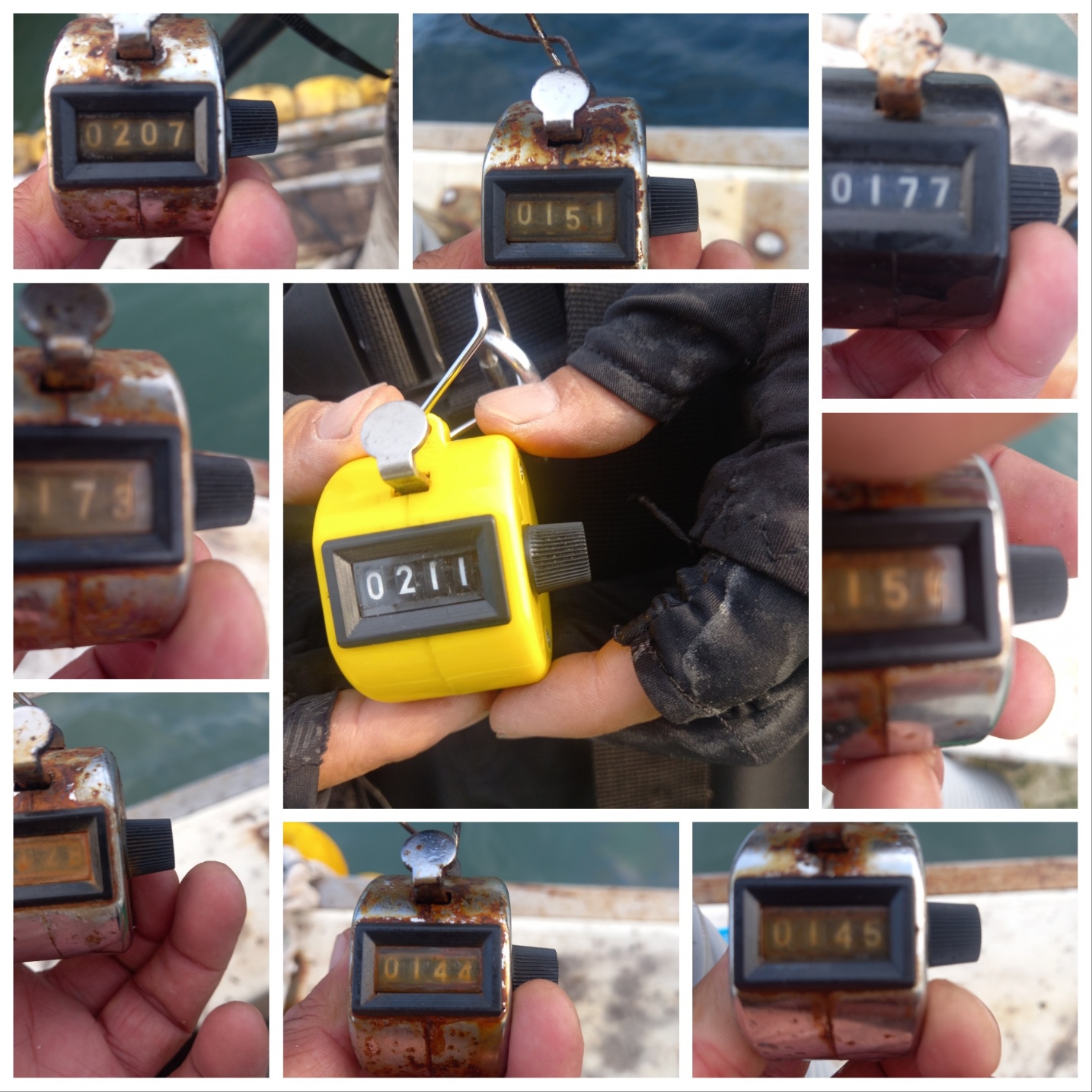 10월10일 뉴궁리호 쭈꾸미 조황