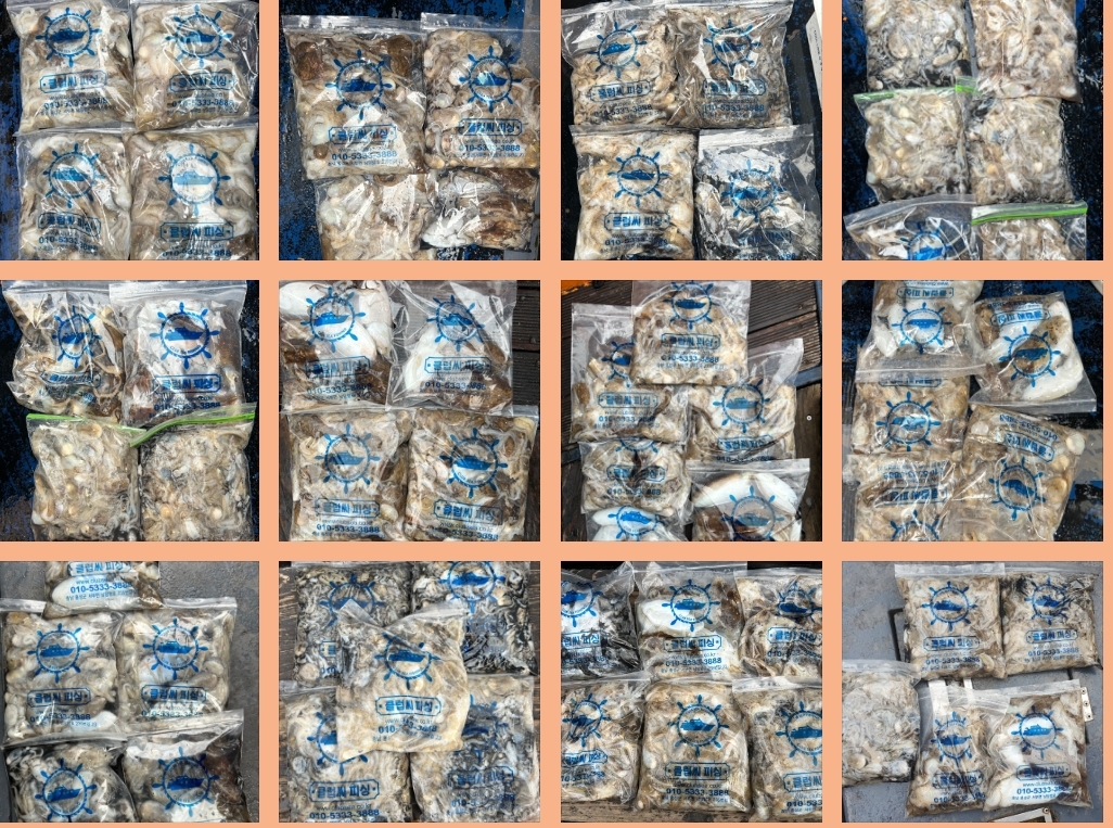 10월 22일 대성호 주꾸미조황입니다