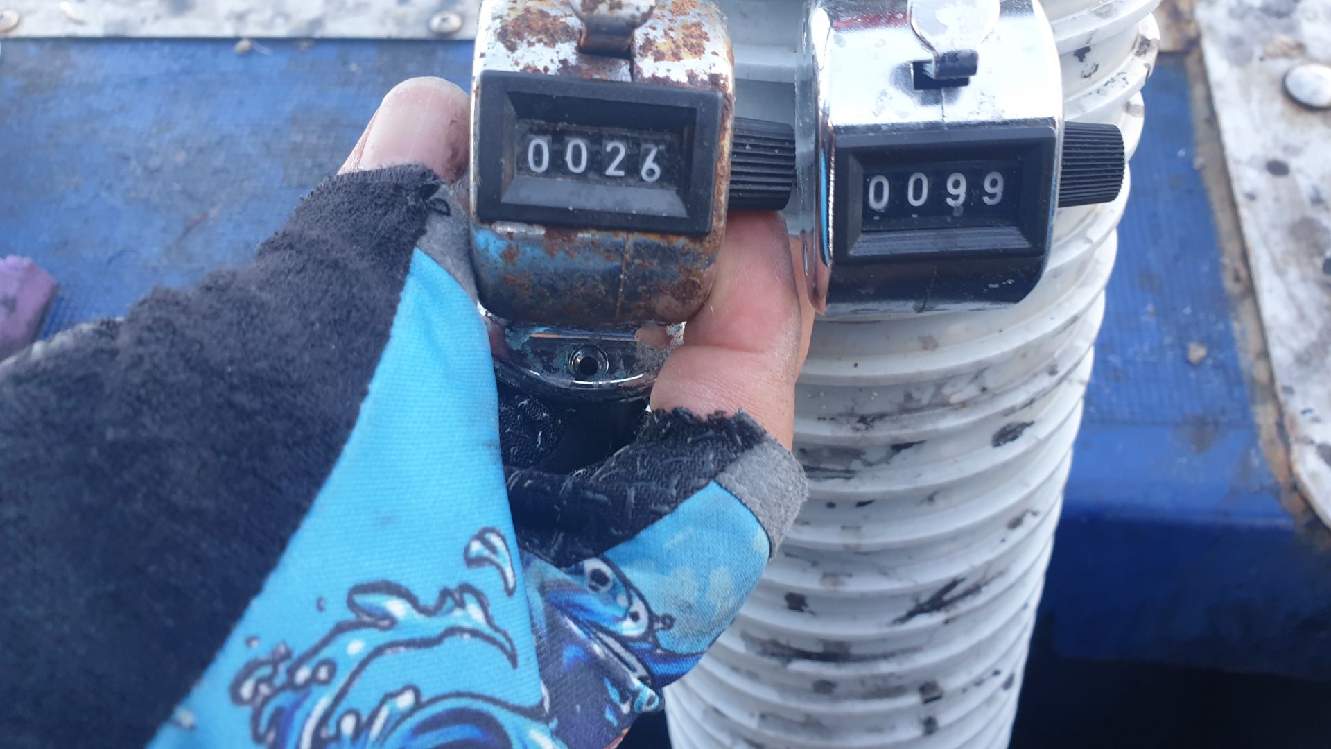 10월3일 대양호 주꾸미 조황