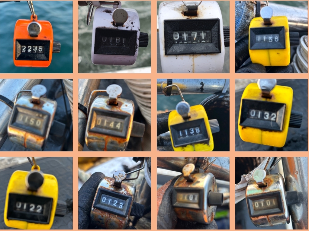 10월 18일 대성호 주꾸미조황입니다