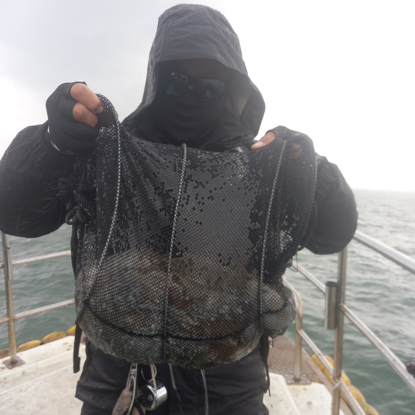 10월14일 뉴궁리호 쭈꾸미 조황