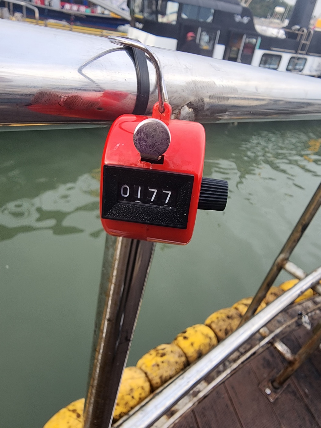 10월 8일 대성2호 쭈꾸미 조황