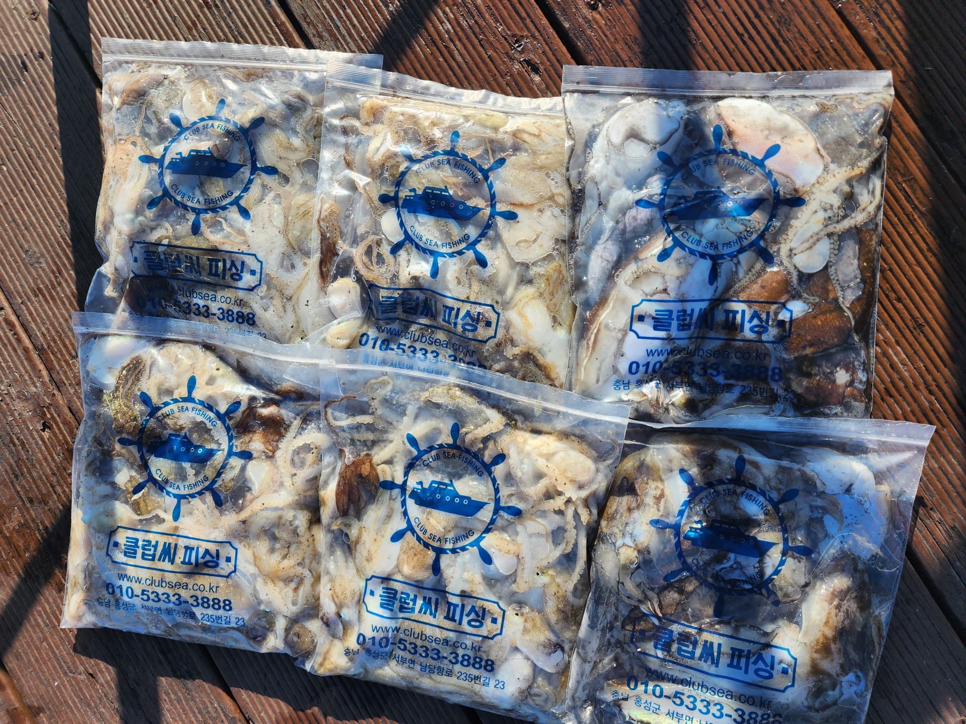 10월 3일 대성2호 쭈꾸미 조황