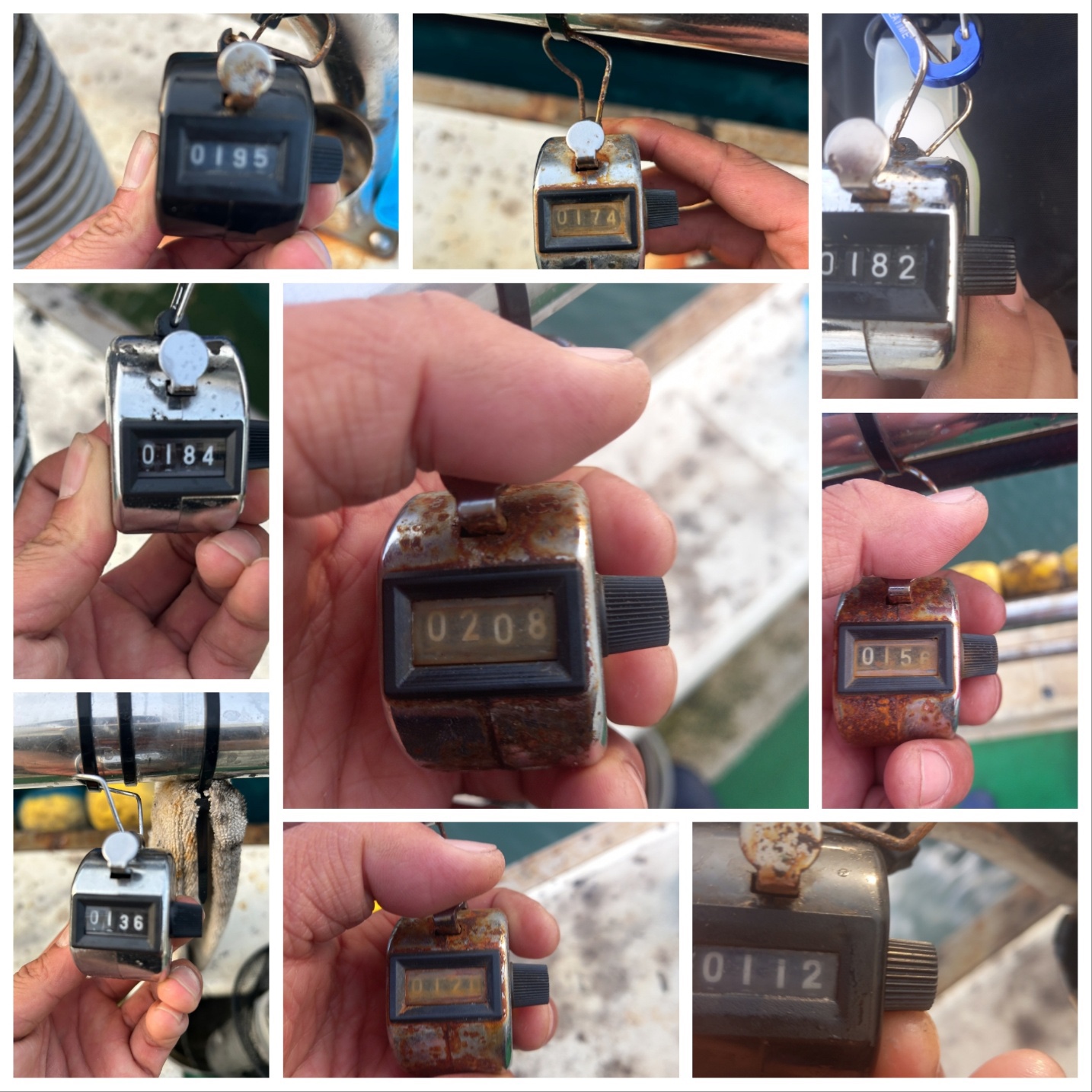 10월12일 뉴궁리호 쭈꾸미 조황