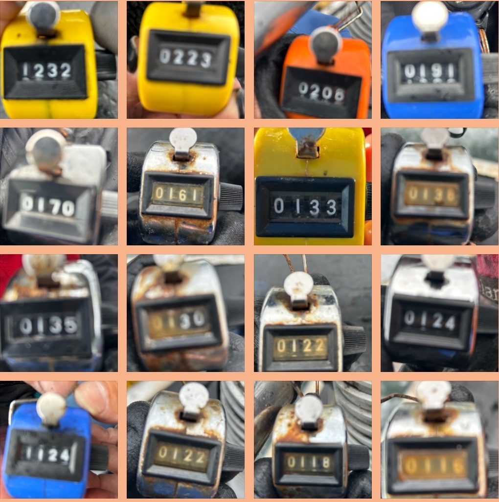 10월 8일 대성호 주꾸미조황입니다