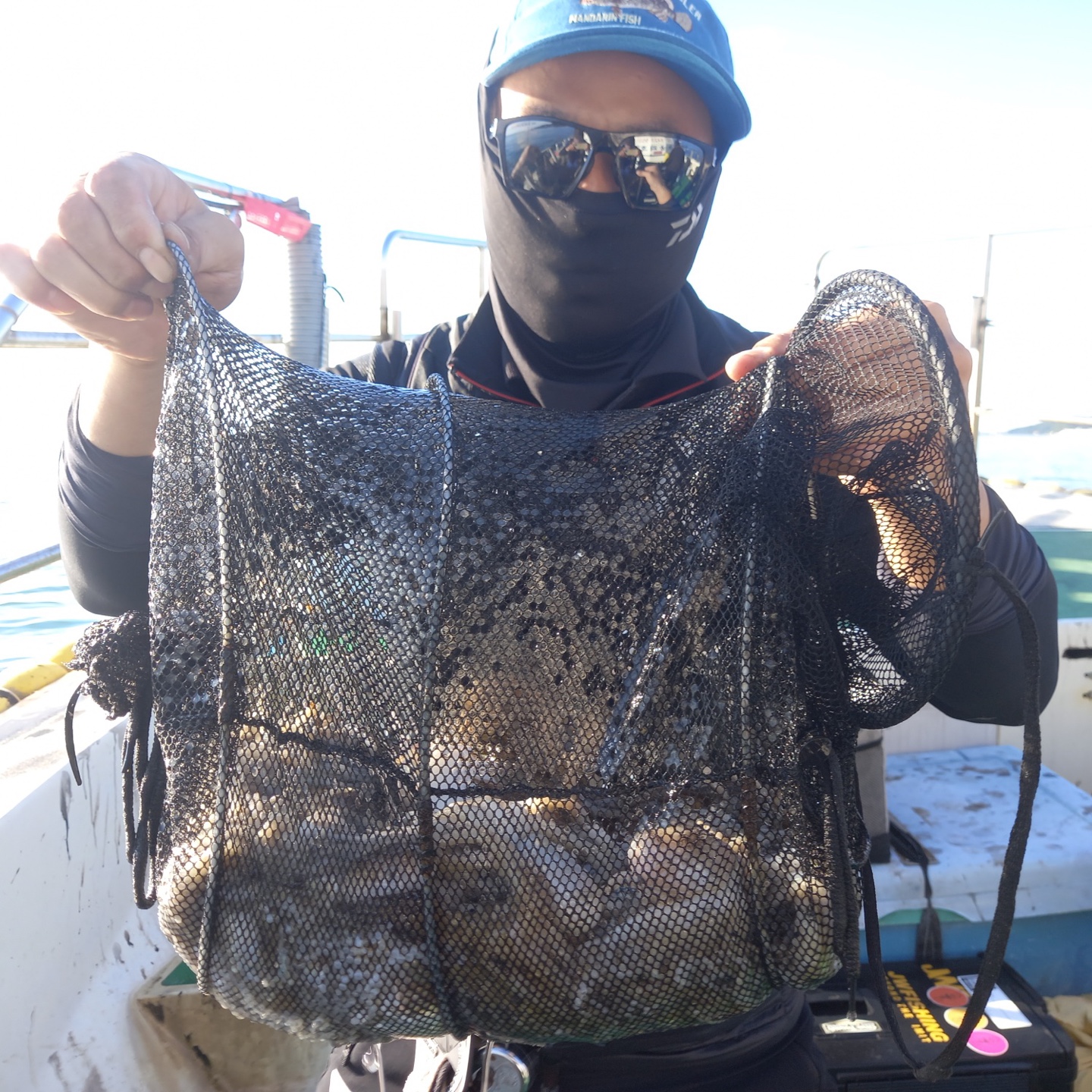 10월3일 뉴궁리호 쭈꾸미 조황