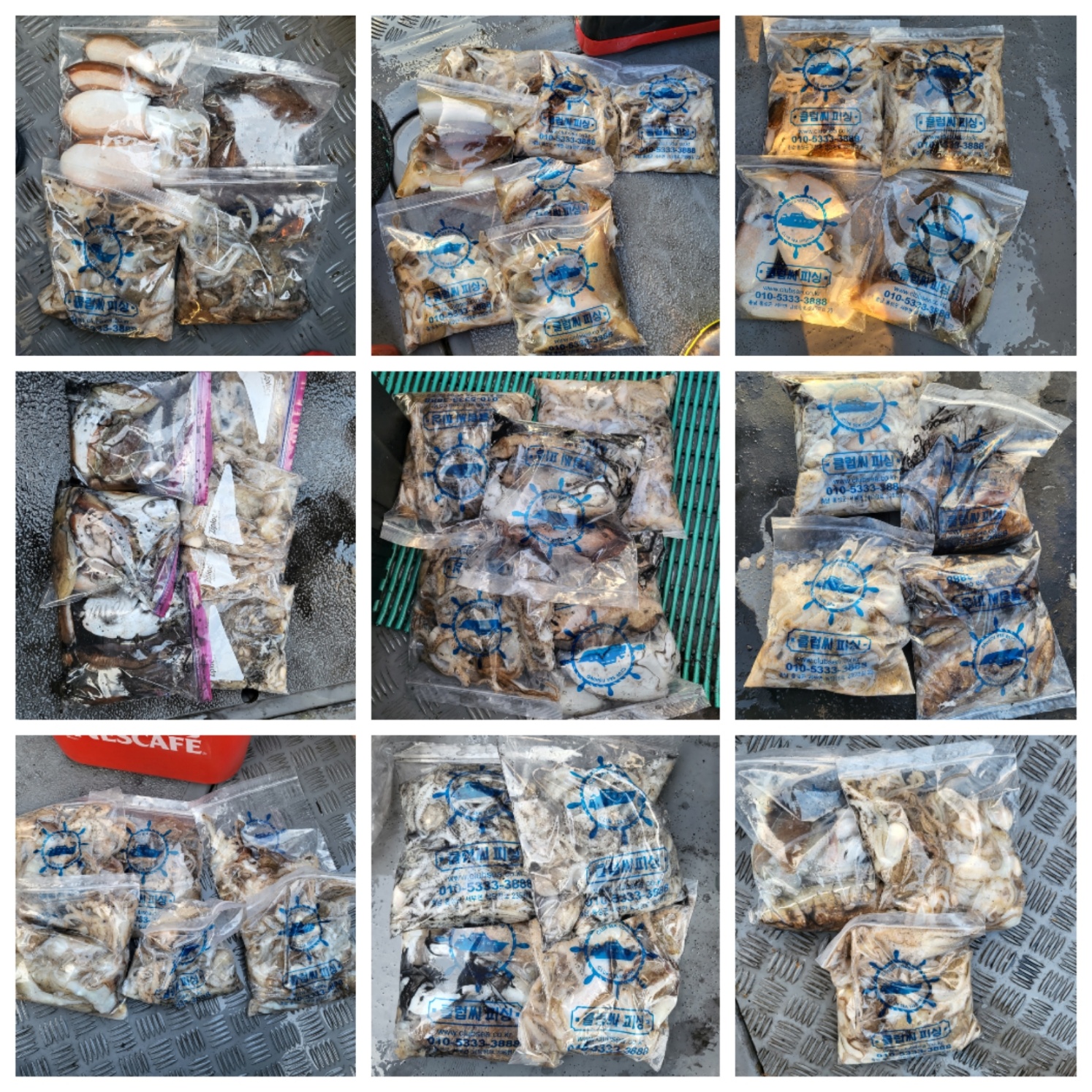 10월24일 마린호 쭈조황입니다