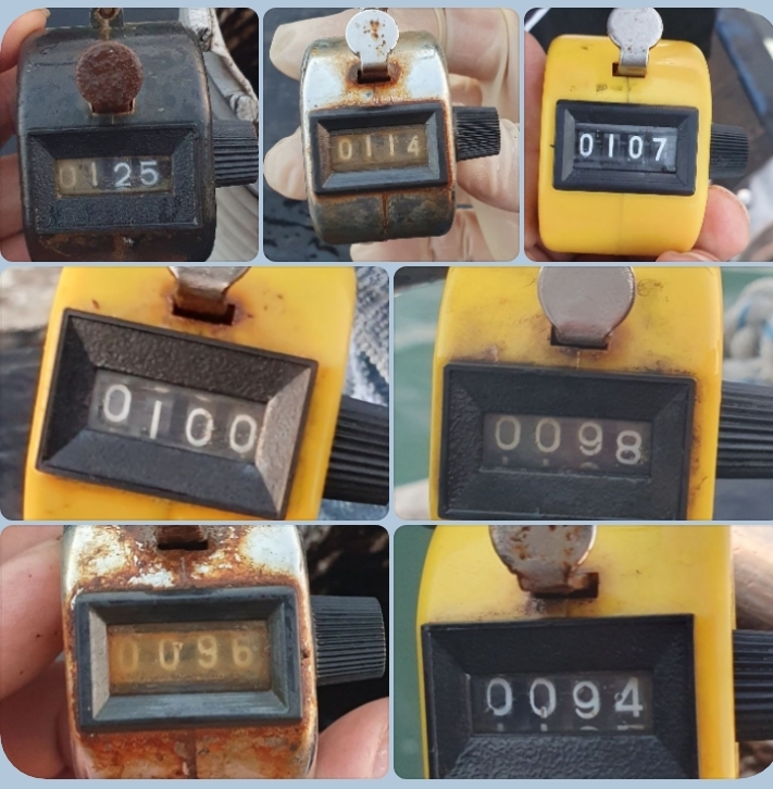 10월 30일 대성호 주꾸미조황입니다