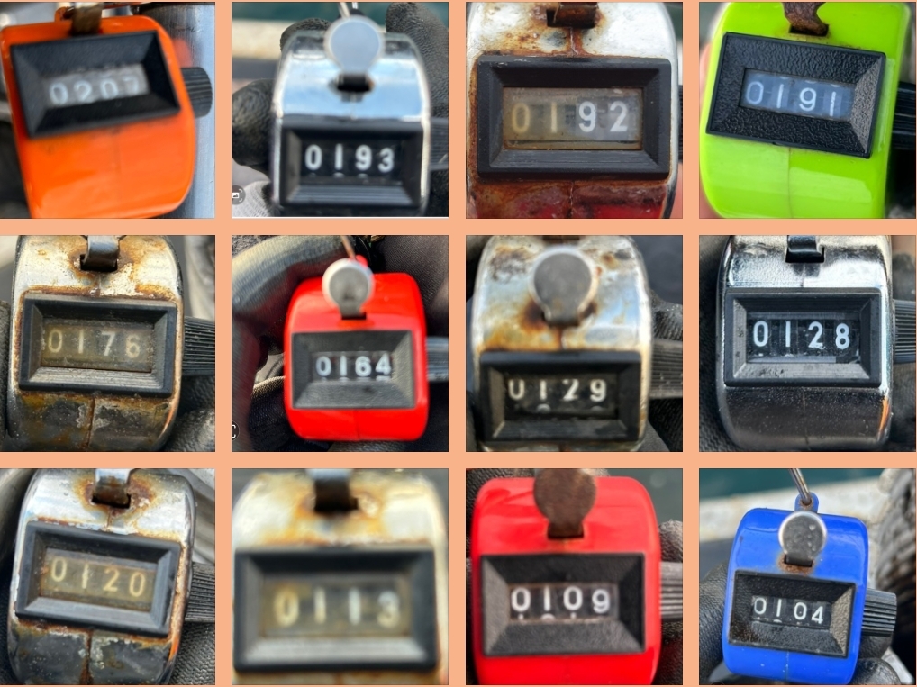 10월 9일 대성호 주꾸미조황입니다