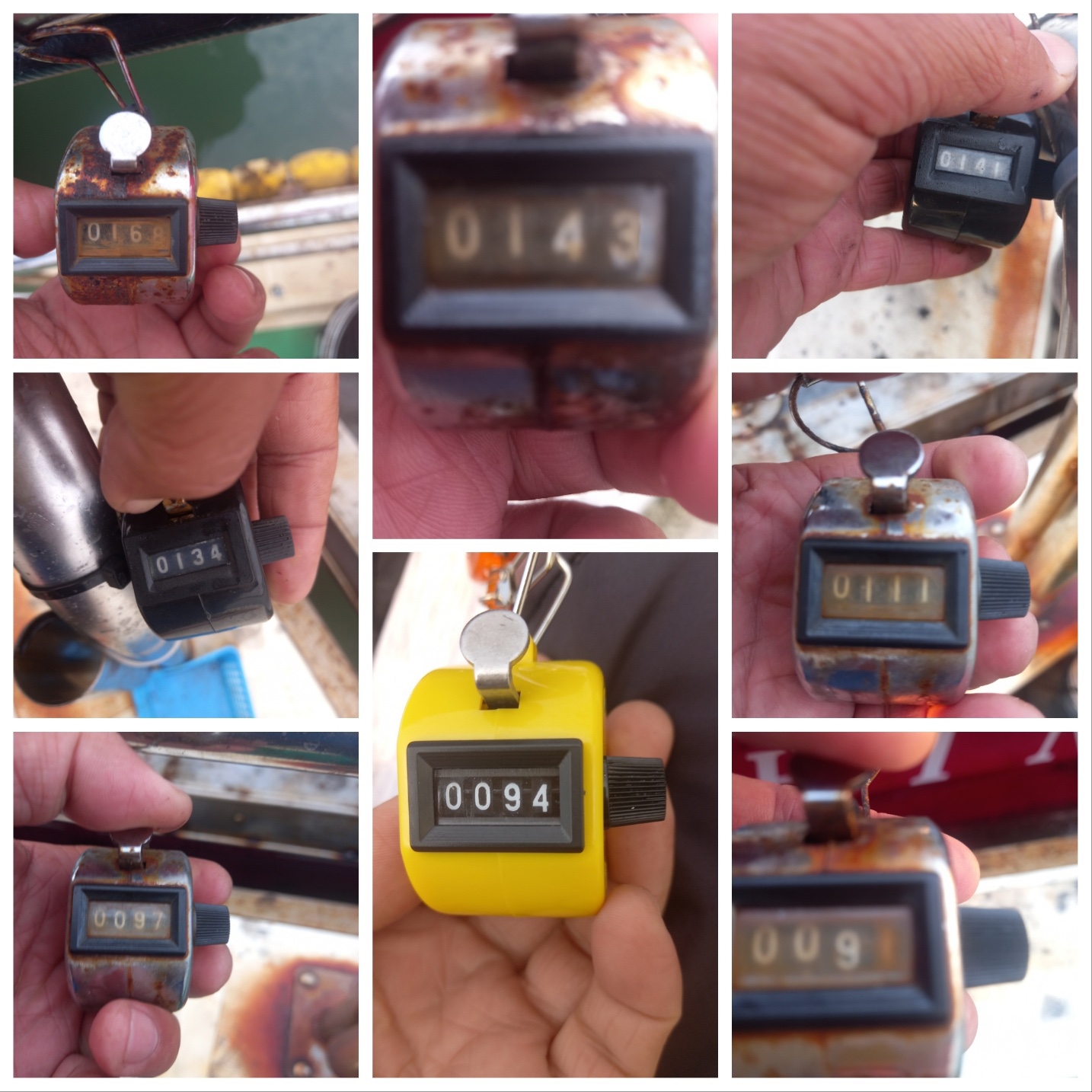 10월9일 뉴궁리호 쭈꾸미 조황