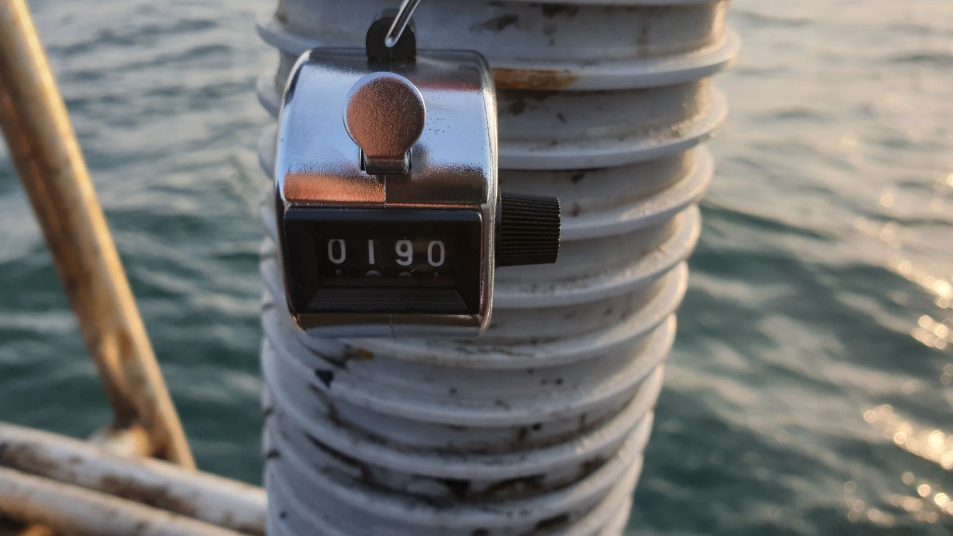 10월12일 대양호 주꾸미 조황