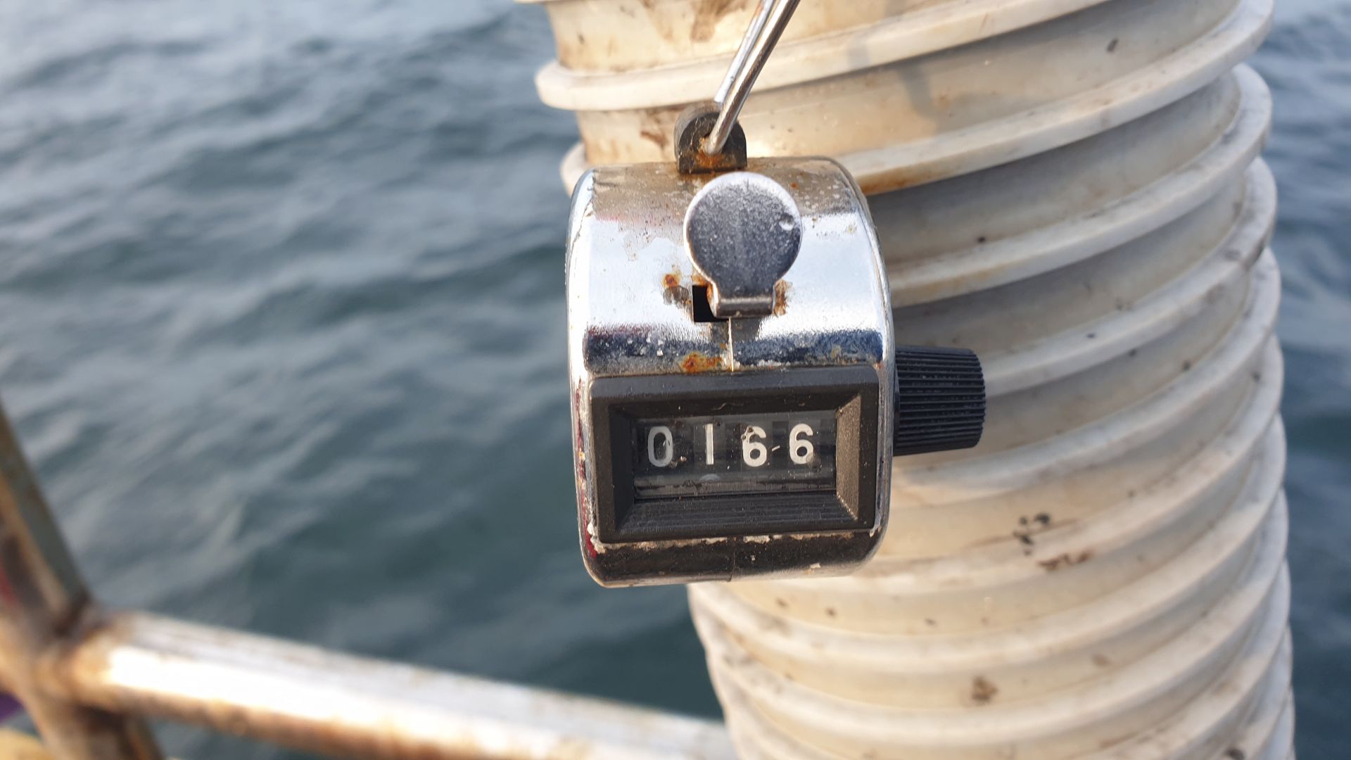 10월10일 대양호 주꾸미조황