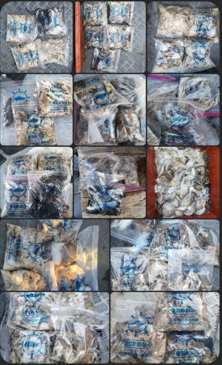 10월28일 마린호 쭈조황입니다