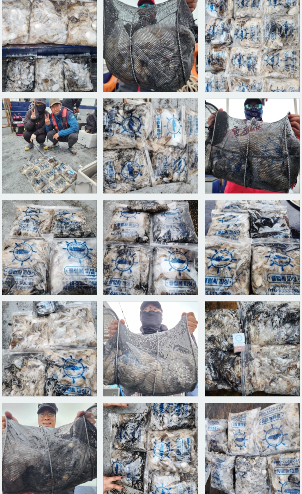 10월7일 뉴대성호 주꾸미조황