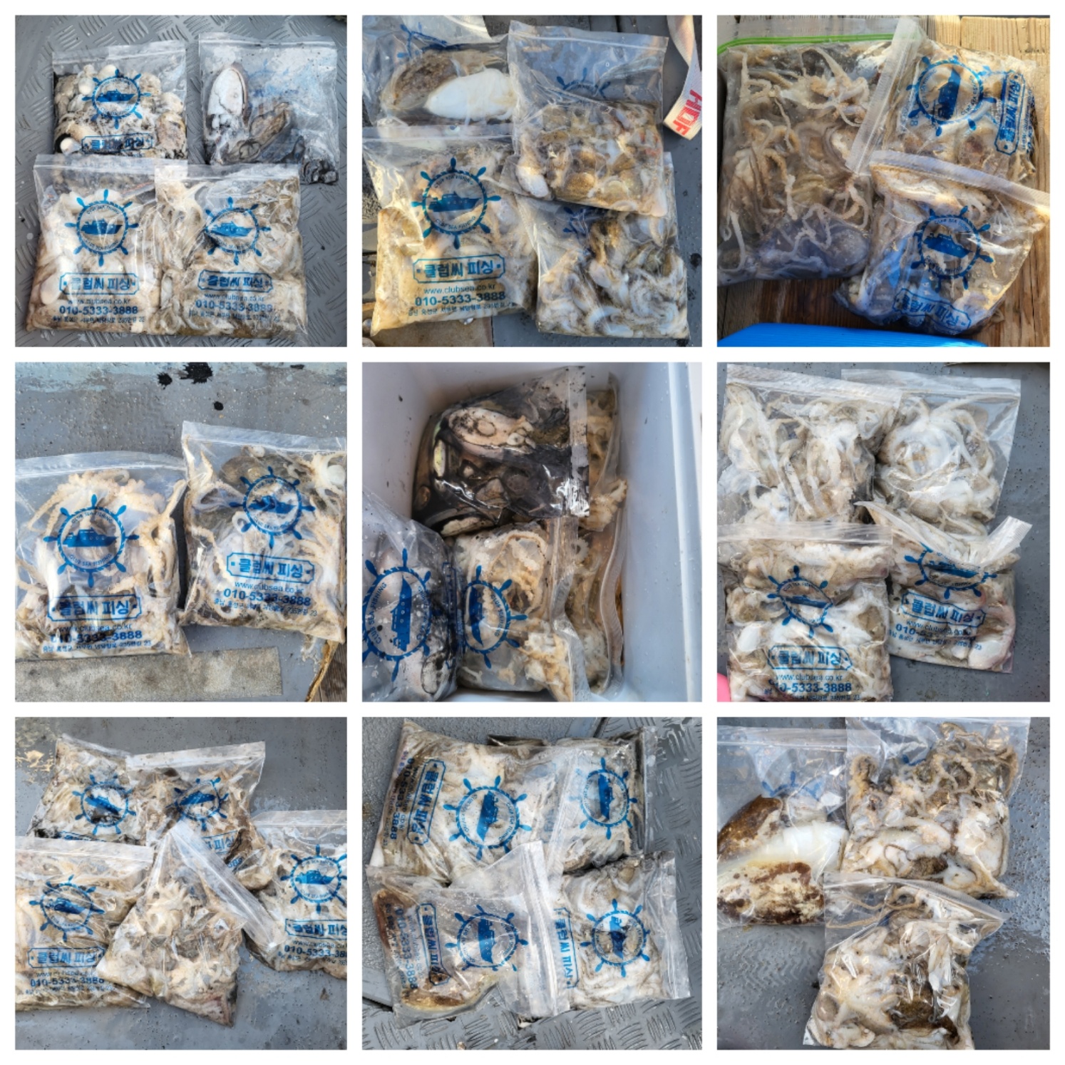 10월2일 마린호 쭈조황입니다