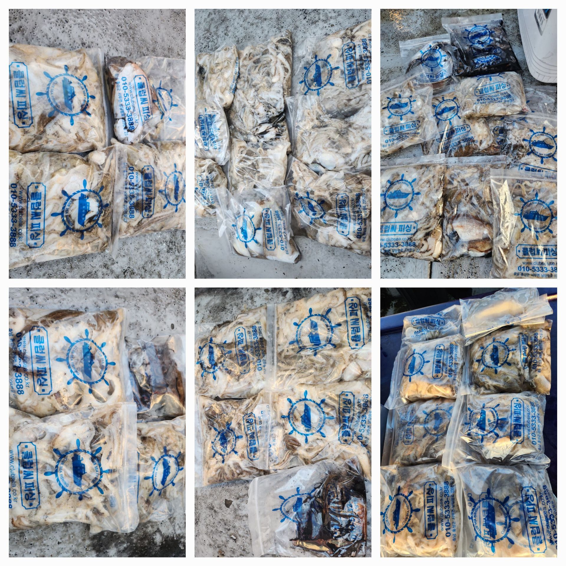 10월28일 뉴대성호 주꾸미조황