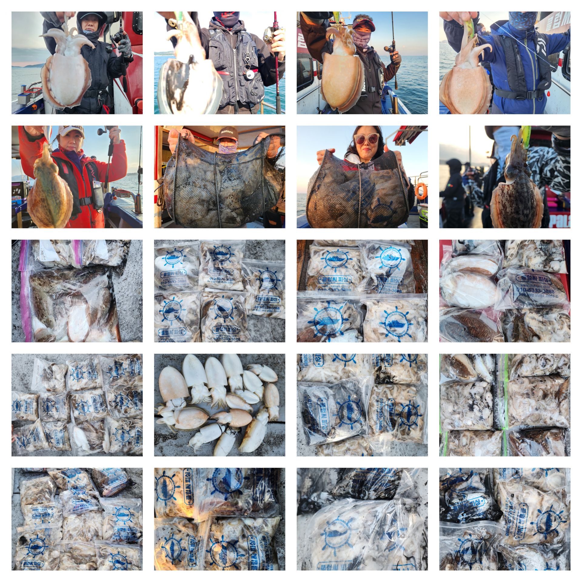 10월23일 뉴대성호 주꾸미조황