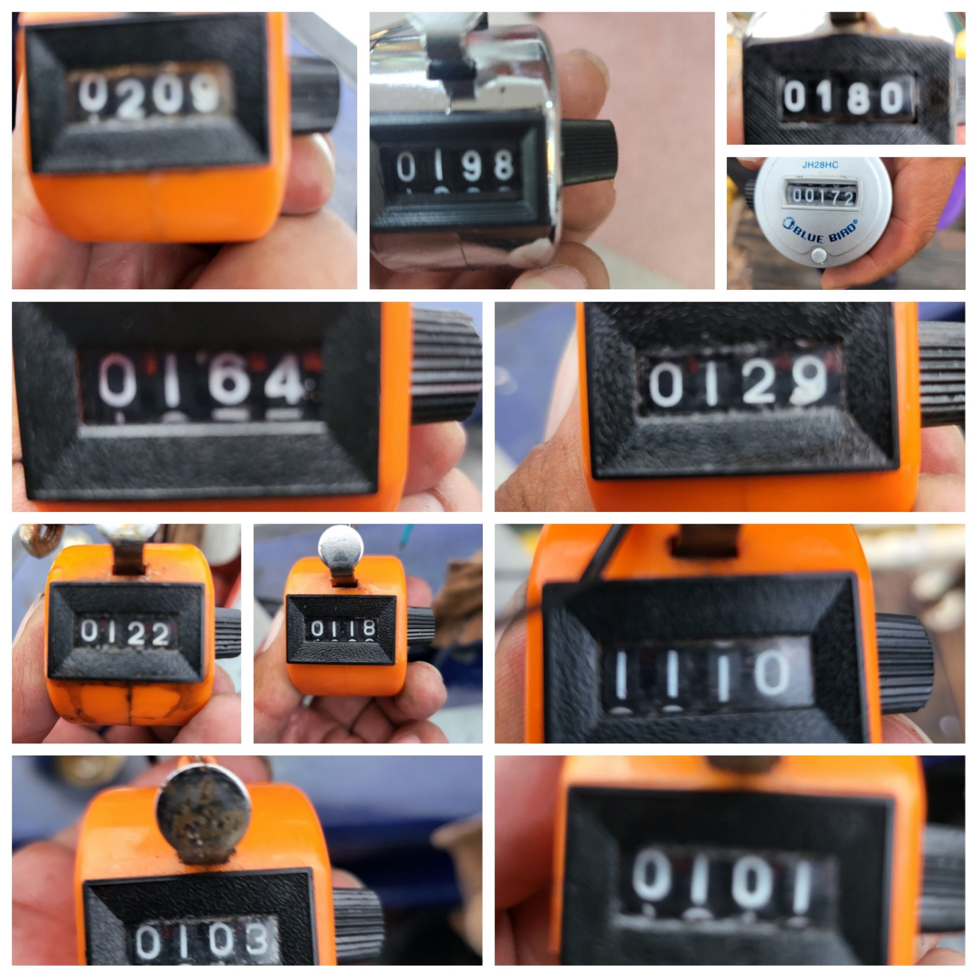 10월8일 블루원 주꾸미 조황