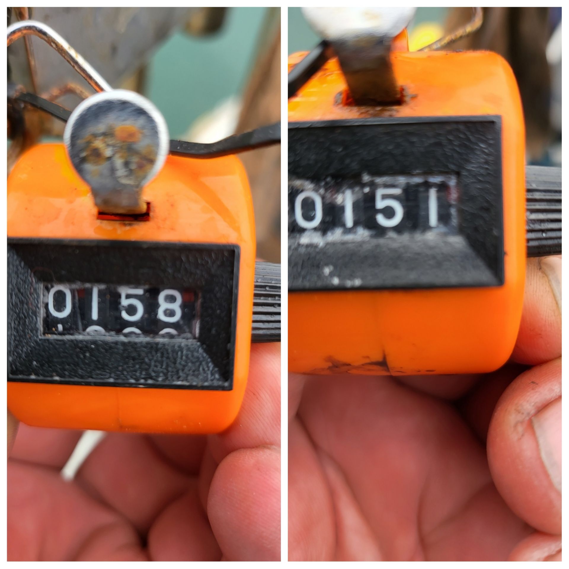 10월13일 블루원 주꾸미 조황