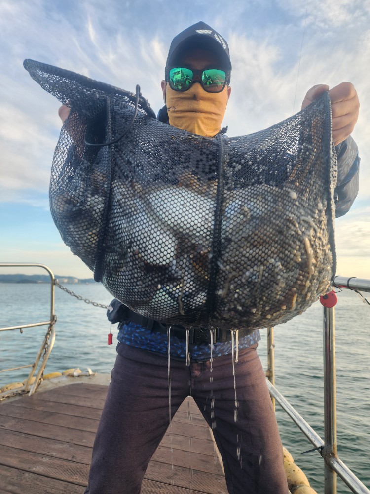 11월 8일 대성2호 쭈꾸미조황