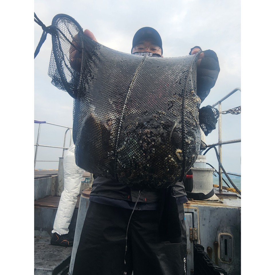 11월 5일 대성2호 오전쭈꾸미조황