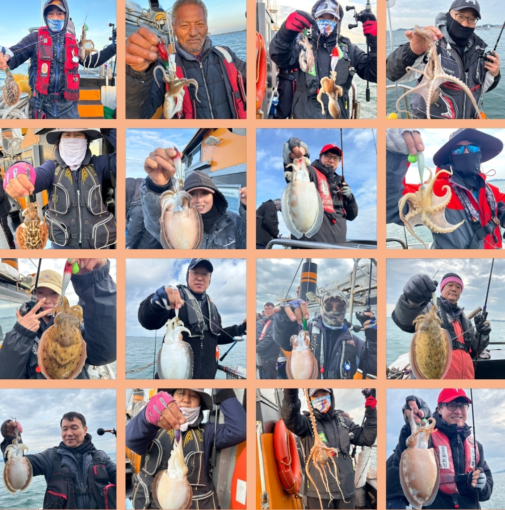 11월 9일 대성호 주꾸미조황입니다