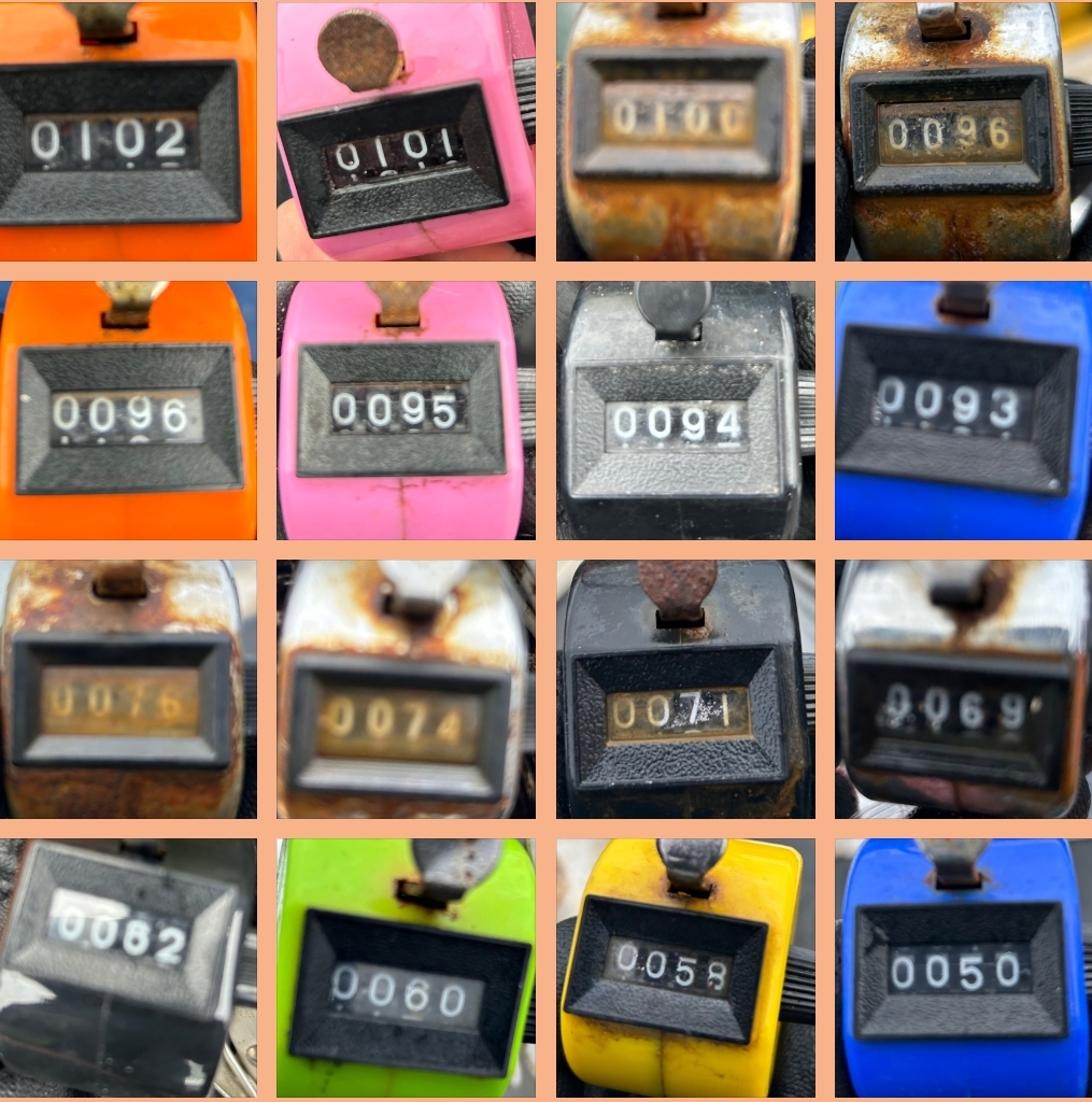 11월 5일 대성호 오전주꾸미조황입니다