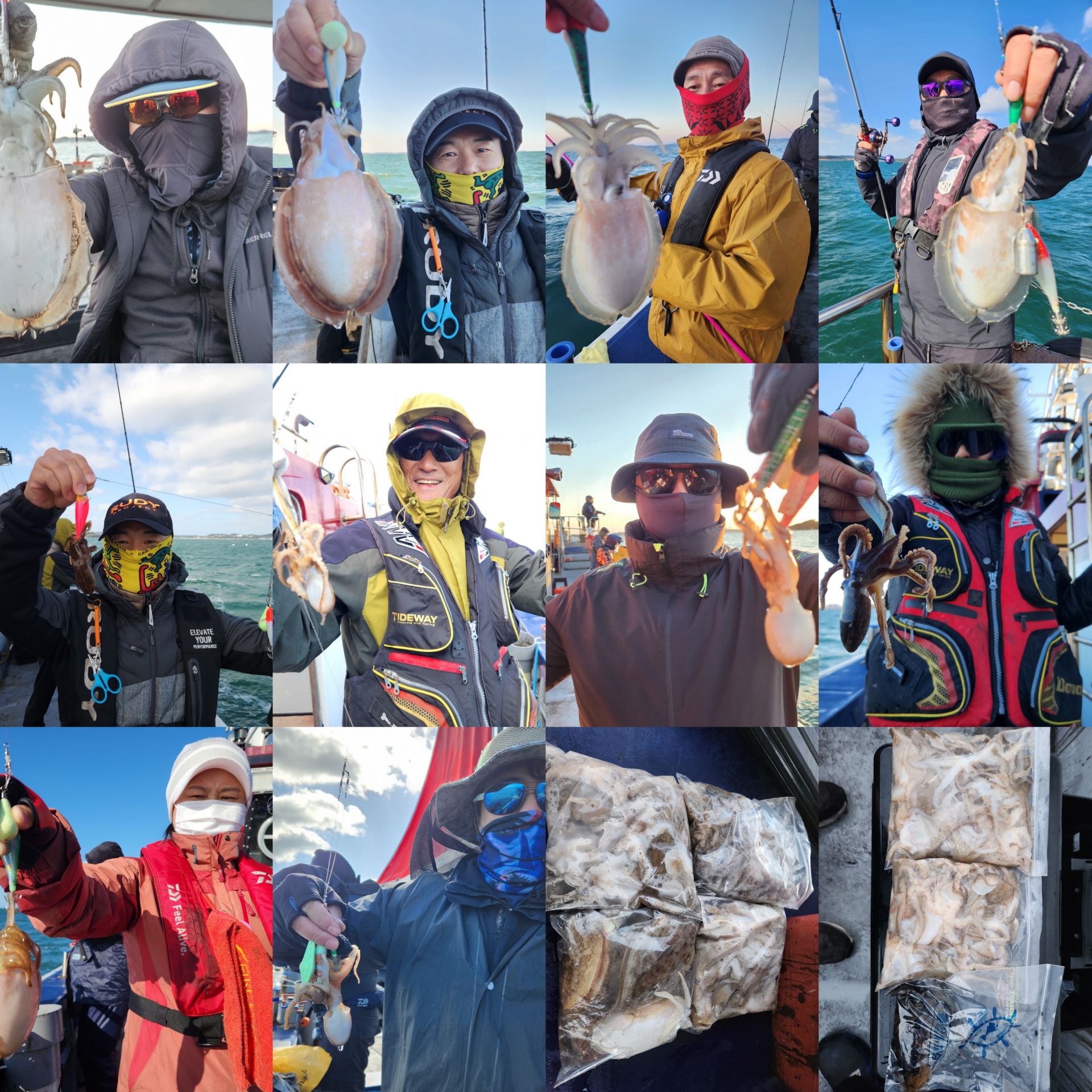 11월7일 뉴대성호 주꾸미조황