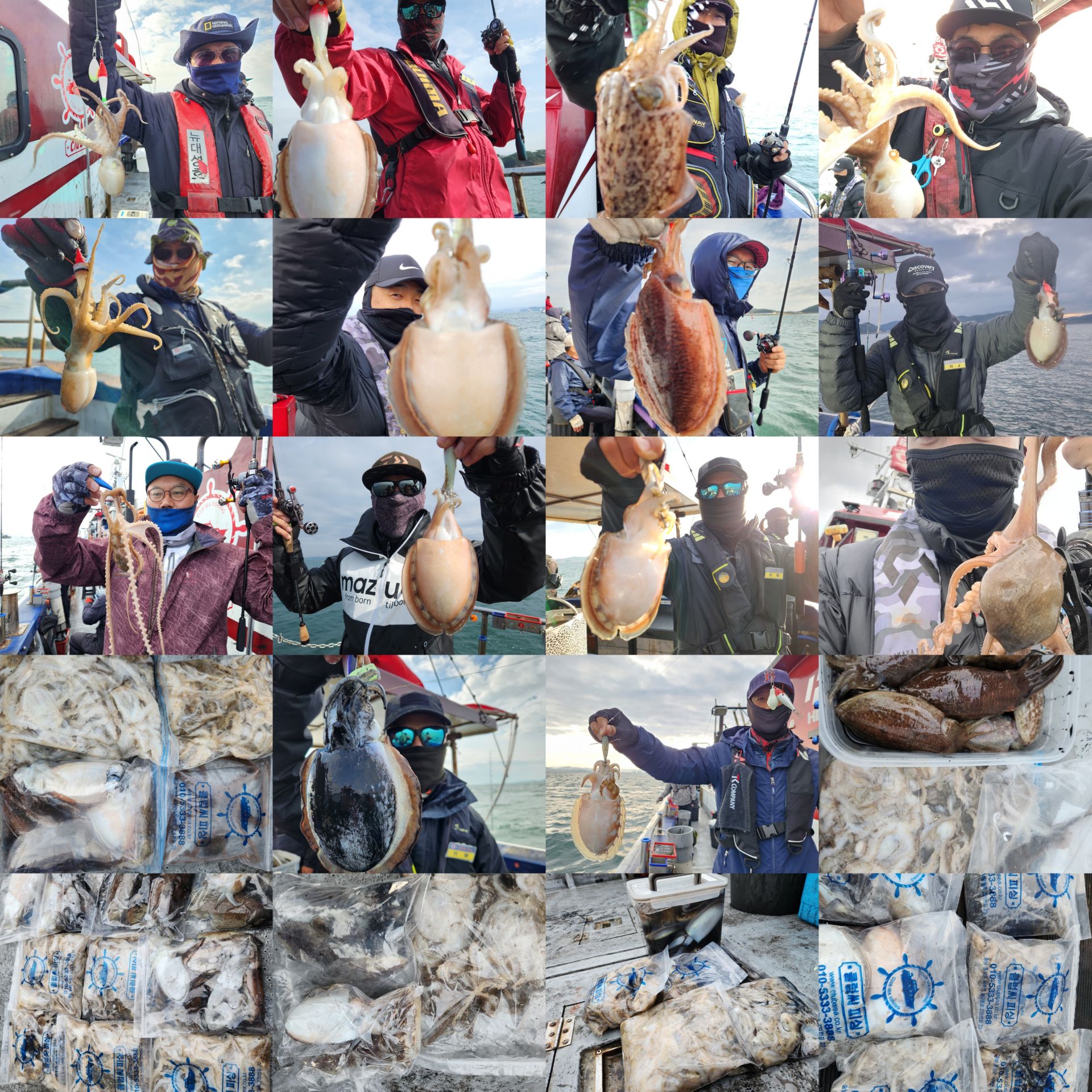 11월9일 뉴대성호 주꾸미조황