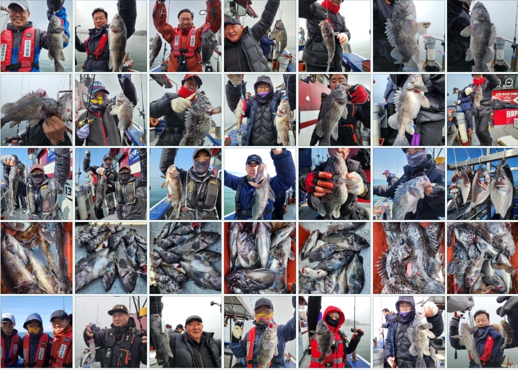 3월23일 뉴대성호 우럭탐사조황