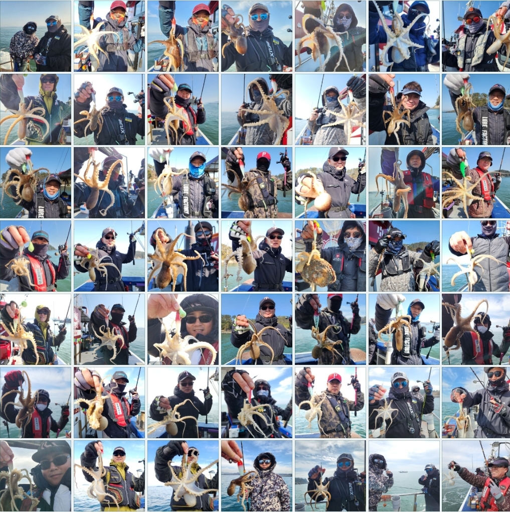 3월16일 뉴대성호 주꾸미조황