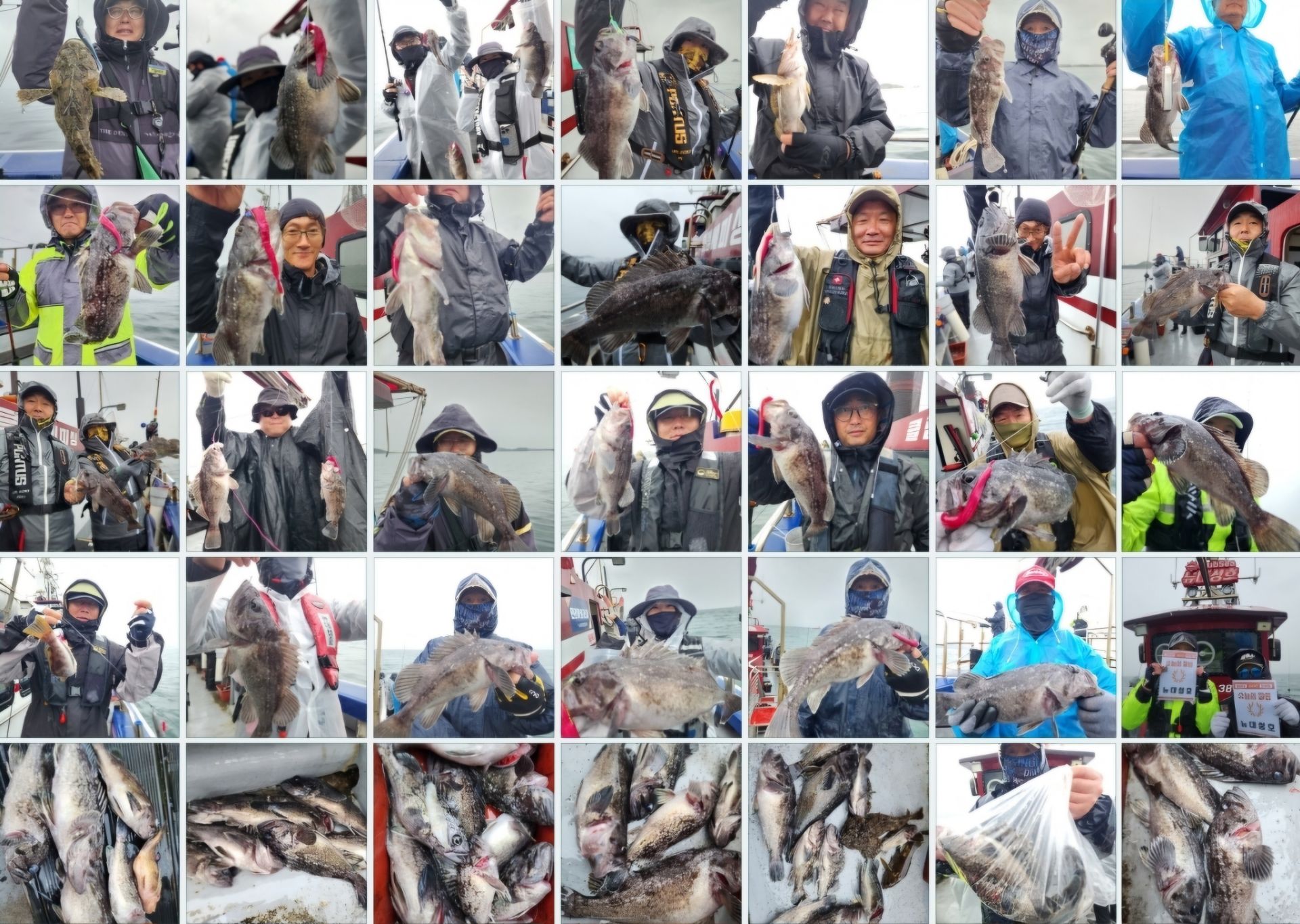 4월20일 뉴대성호 내만우럭조황