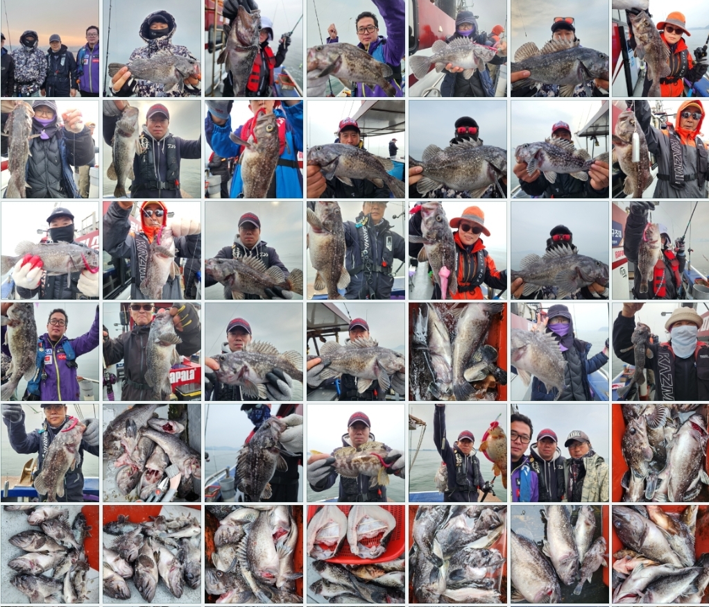 4월6일 뉴대성호 내만우럭조황