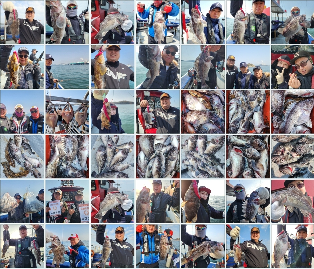 4월5일 뉴대성호 내만우럭조황