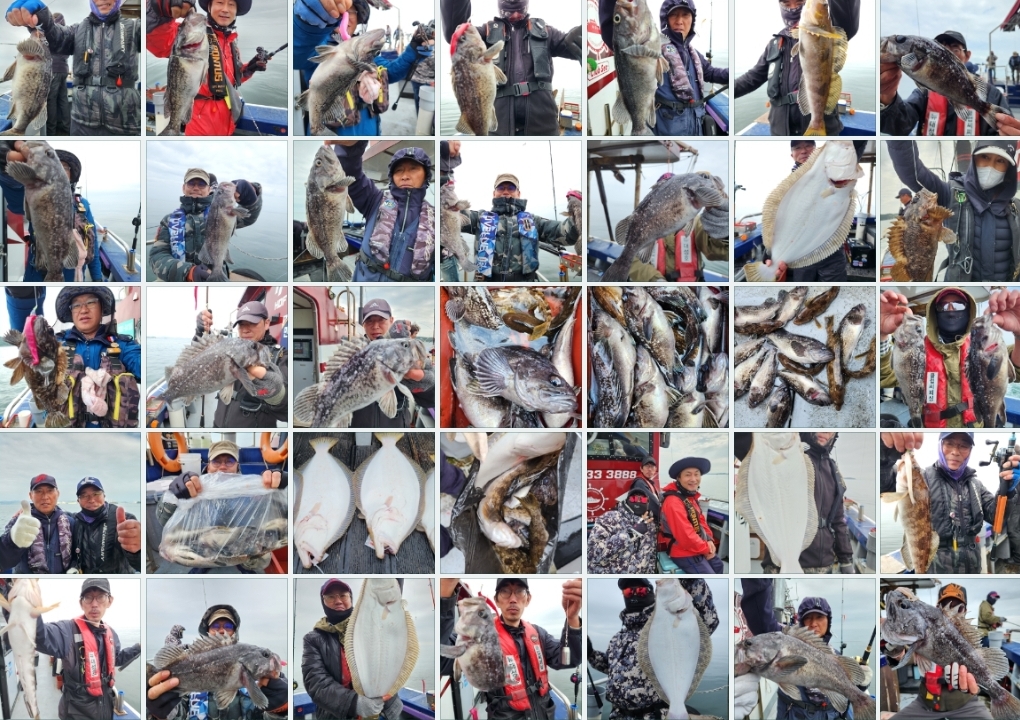 4월22일 뉴대성호 우럭조황