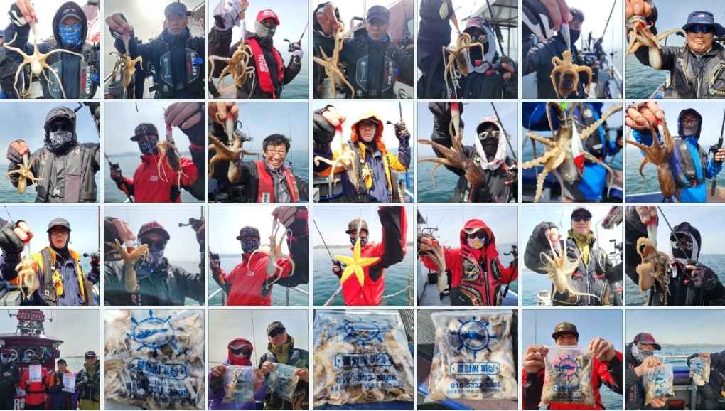 4월17일 뉴대성호 주꾸미조황