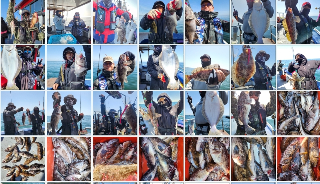 4월27일 뉴대성호 우럭조황