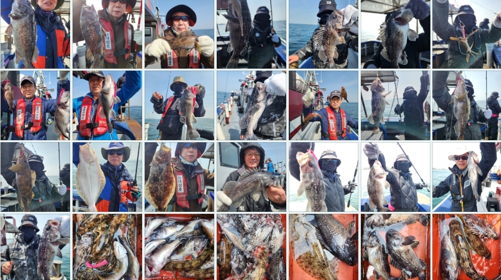 4월19일 뉴대성호 내만우럭조황