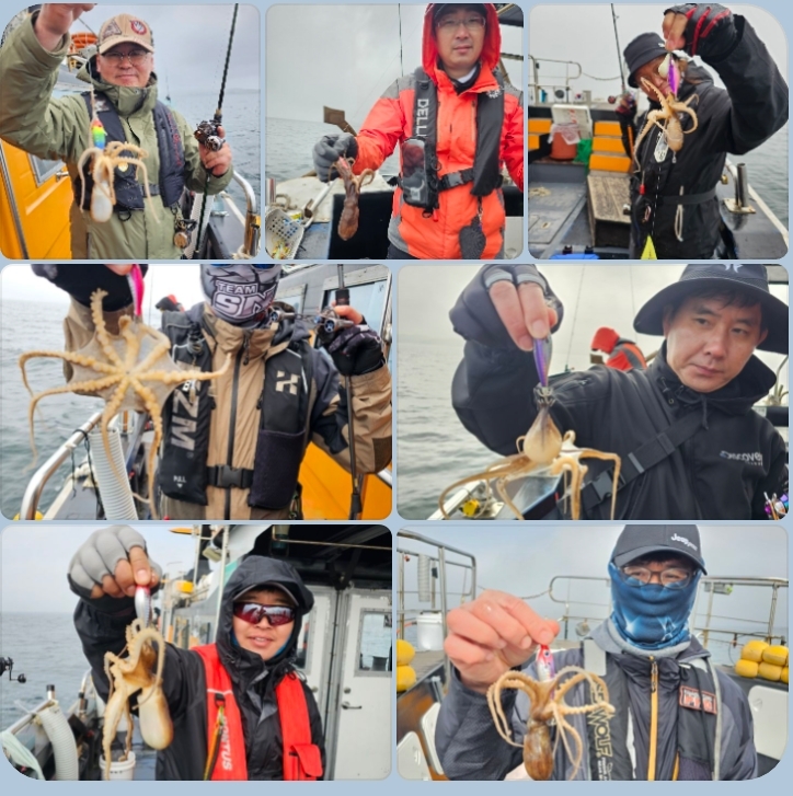 4월 16일 대성호 7인 주꾸미조황입니다