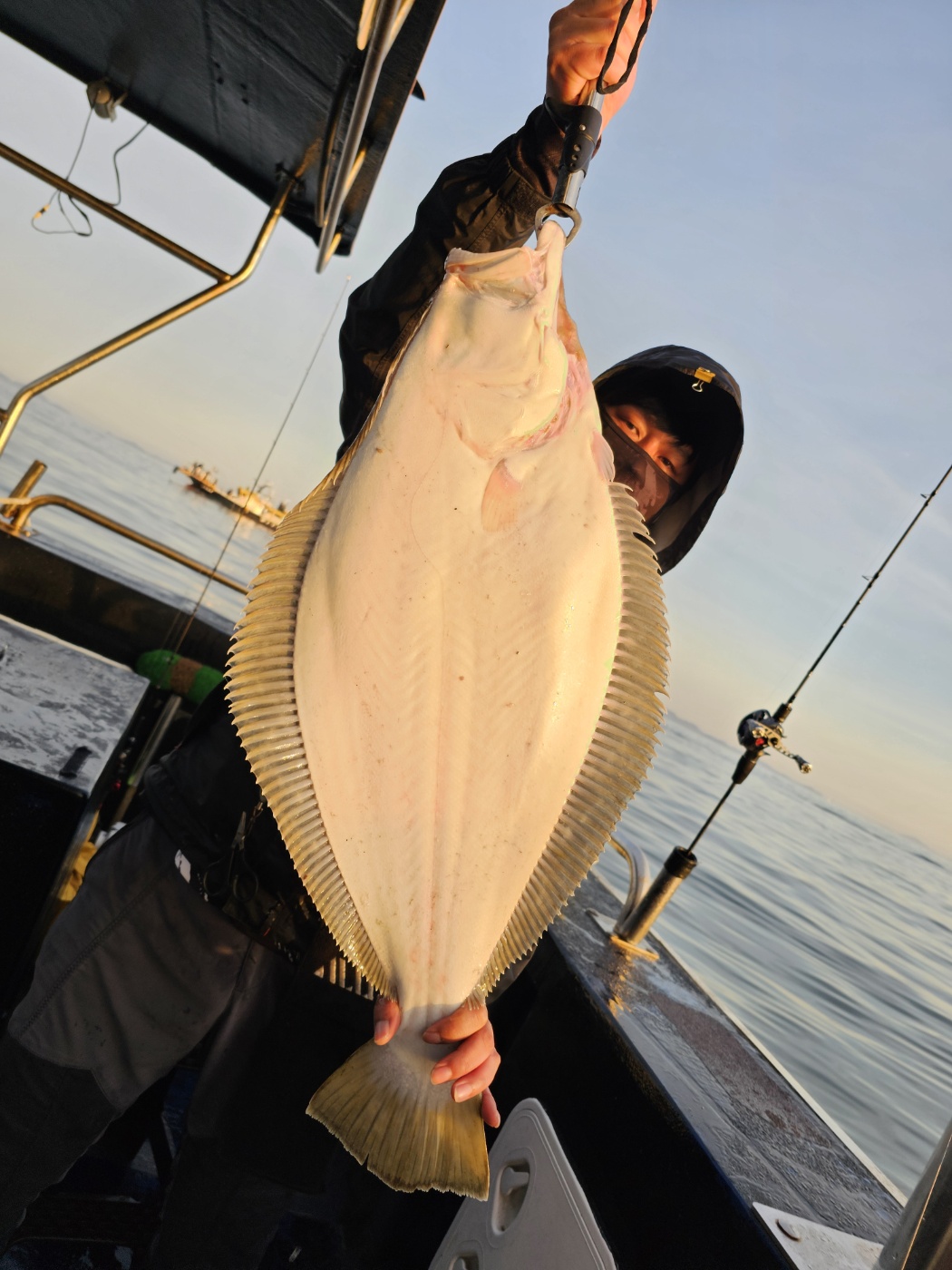 4월 28일 13인 대~~광어다운샷조황