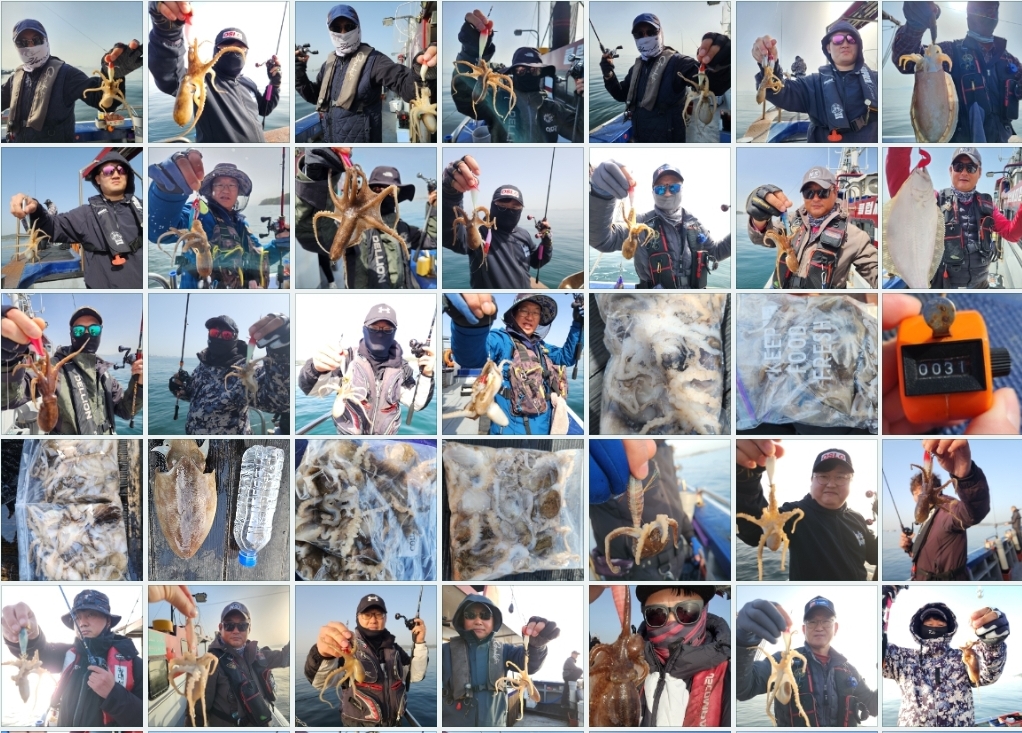 4월18일 뉴대성호 주꾸미조황